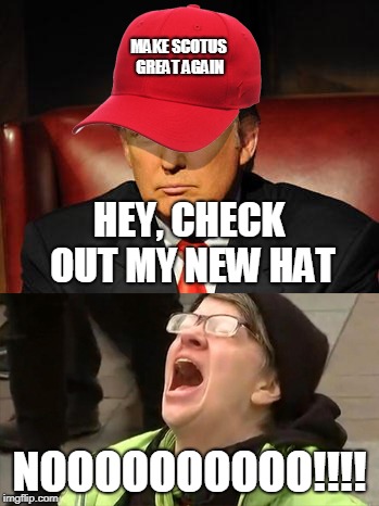 Trump Hat No | MAKE SCOTUS GREAT AGAIN NOOOOOOOOOO!!!! HEY, CHECK OUT MY NEW HAT | image tagged in trump hat no | made w/ Imgflip meme maker