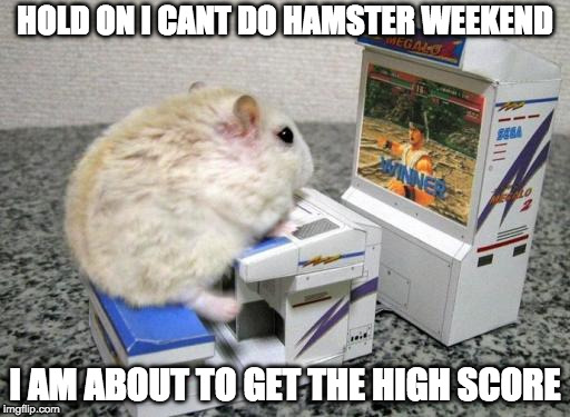 hamster arcade | HOLD ON I CANT DO HAMSTER WEEKEND; I AM ABOUT TO GET THE HIGH SCORE | image tagged in hamster arcade | made w/ Imgflip meme maker