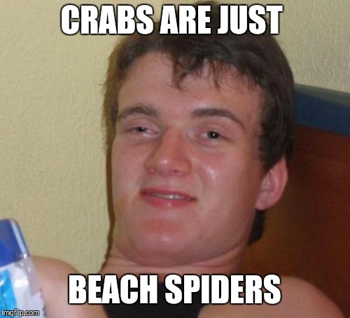 I know that octopi have 8 legs (tentacles), but do you ever see an octopus on the shore? | CRABS ARE JUST; BEACH SPIDERS | image tagged in memes,10 guy,crab,crabs,sea life | made w/ Imgflip meme maker