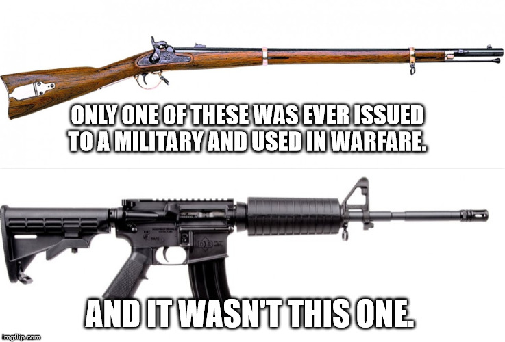 freedom rings  | ONLY ONE OF THESE WAS EVER ISSUED TO A MILITARY AND USED IN WARFARE. AND IT WASN'T THIS ONE. | image tagged in gun control,gun,2nd amendment | made w/ Imgflip meme maker