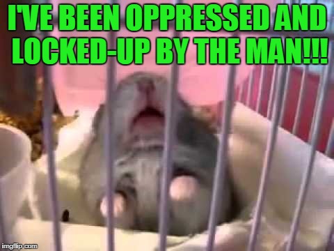 I'VE BEEN OPPRESSED AND LOCKED-UP BY THE MAN!!! | made w/ Imgflip meme maker