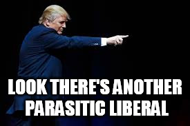 LOOK THERE'S ANOTHER PARASITIC LIBERAL | image tagged in trump | made w/ Imgflip meme maker