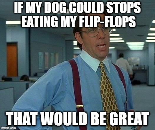 ...and everything else, i would be rich. | IF MY DOG COULD STOPS EATING MY FLIP-FLOPS; THAT WOULD BE GREAT | image tagged in memes,that would be great,flip flops,dog,chewing,dog memes | made w/ Imgflip meme maker