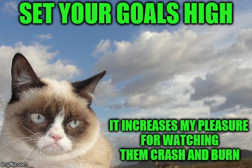 Never the optimist. | SET YOUR GOALS HIGH; IT INCREASES MY PLEASURE FOR WATCHING THEM CRASH AND BURN | image tagged in memes,grumpy cat sky,grumpy cat,goals | made w/ Imgflip meme maker