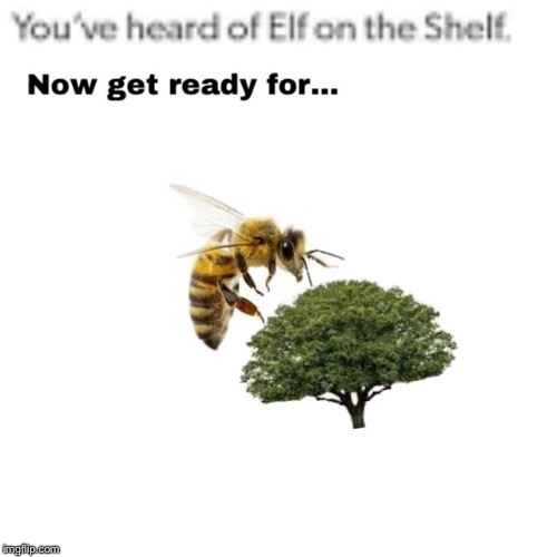 Bee on a tree | image tagged in elf on the shelf,elf on a shelf,bee on a tree | made w/ Imgflip meme maker