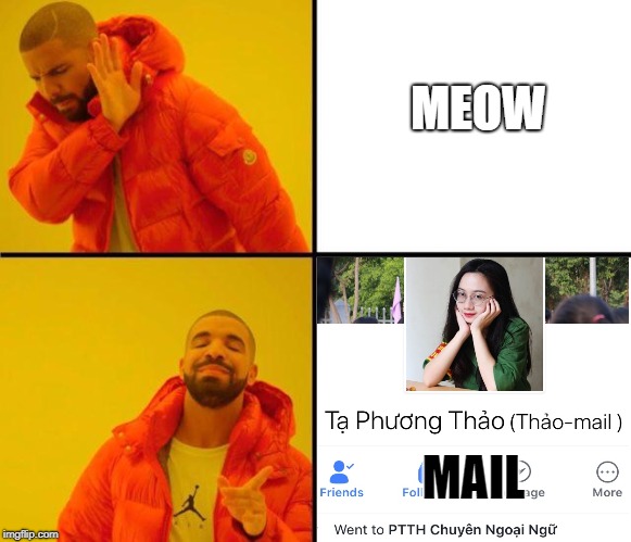 drake meme | MEOW; MAIL | image tagged in drake meme | made w/ Imgflip meme maker