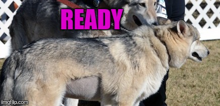 READY | made w/ Imgflip meme maker