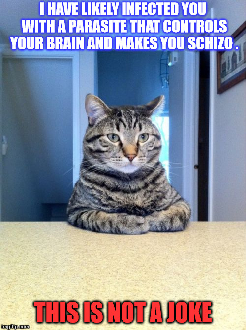 Take A Seat Cat Meme | I HAVE LIKELY INFECTED YOU WITH A PARASITE THAT CONTROLS YOUR BRAIN AND MAKES YOU SCHIZO . THIS IS NOT A JOKE | image tagged in memes,take a seat cat | made w/ Imgflip meme maker