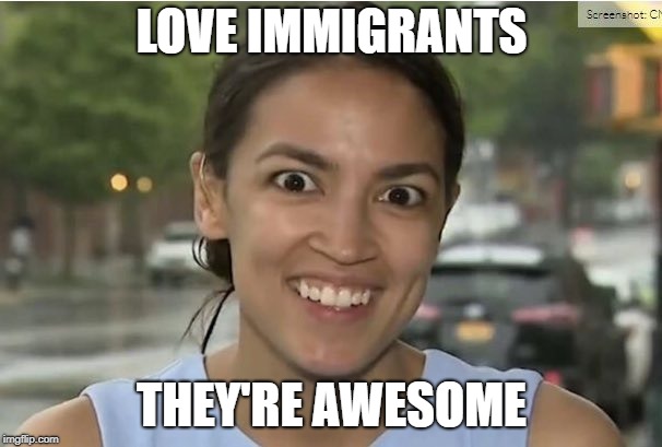 LOVE IMMIGRANTS; THEY'RE AWESOME | image tagged in alexandria ocasio-cortez,bernie sanders,democrats,socialism,immigrants,immigration | made w/ Imgflip meme maker