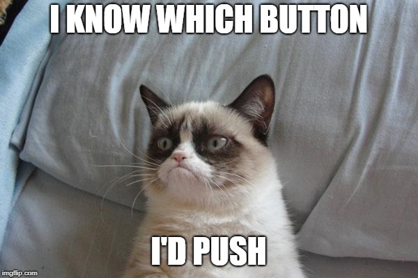 Grumpy Cat Bed Meme | I KNOW WHICH BUTTON I'D PUSH | image tagged in memes,grumpy cat bed,grumpy cat | made w/ Imgflip meme maker