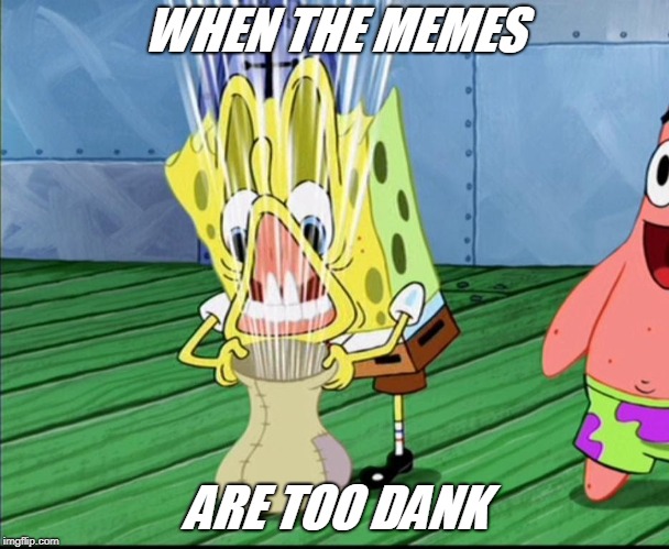 WHEN THE MEMES ARE TOO DANK | made w/ Imgflip meme maker