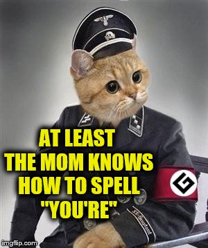 Grammar Nazi Cat | AT LEAST THE MOM KNOWS HOW TO SPELL "YOU'RE" | image tagged in grammar nazi cat | made w/ Imgflip meme maker