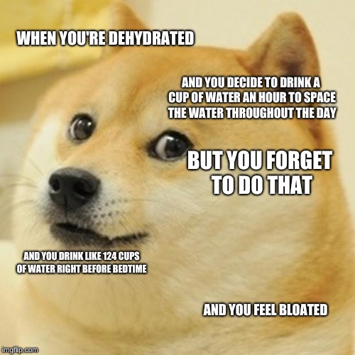 Doge Meme | WHEN YOU'RE DEHYDRATED; AND YOU DECIDE TO DRINK A CUP OF WATER AN HOUR TO SPACE THE WATER THROUGHOUT THE DAY; BUT YOU FORGET TO DO THAT; AND YOU DRINK LIKE 124 CUPS OF WATER RIGHT BEFORE BEDTIME; AND YOU FEEL BLOATED | image tagged in memes,the struggle is real | made w/ Imgflip meme maker
