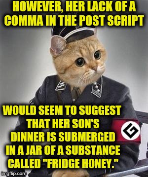 Grammar Nazi Cat | WOULD SEEM TO SUGGEST THAT HER SON'S DINNER IS SUBMERGED IN A JAR OF A SUBSTANCE CALLED "FRIDGE HONEY." HOWEVER, HER LACK OF A COMMA IN THE  | image tagged in grammar nazi cat | made w/ Imgflip meme maker