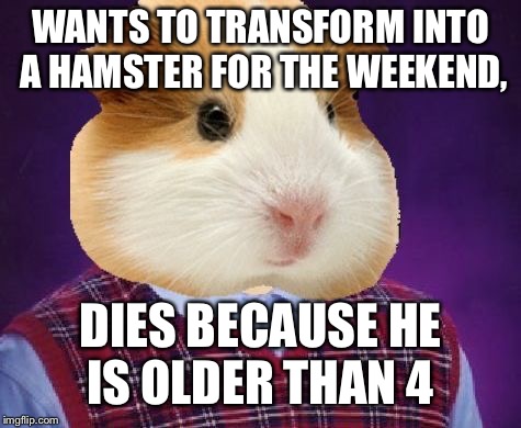Bad luck hamster | WANTS TO TRANSFORM INTO A HAMSTER FOR THE WEEKEND, DIES BECAUSE HE IS OLDER THAN 4 | image tagged in bad luck hamster | made w/ Imgflip meme maker
