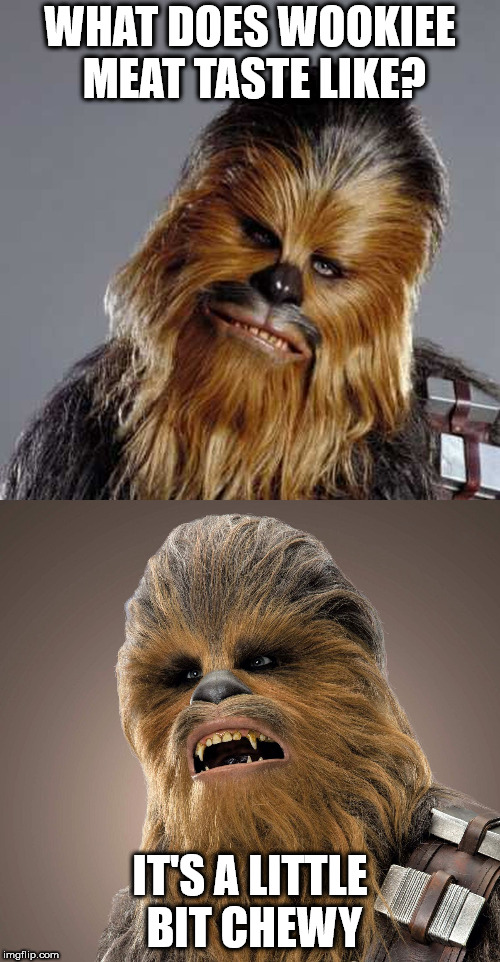 WHAT DOES WOOKIEE MEAT TASTE LIKE? IT'S A LITTLE BIT CHEWY | image tagged in star wars | made w/ Imgflip meme maker