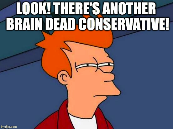 Futurama Fry Meme | LOOK! THERE'S ANOTHER BRAIN DEAD CONSERVATIVE! | image tagged in memes,futurama fry | made w/ Imgflip meme maker