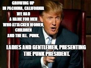 Donald Trump | GROWING UP IN PACOIMA, CALIFORNIA WE HAD A NAME FOR MEN WHO ATTACKED WOMEN, CHILDREN AND THE ILL.  PUNK. LADIES AND GENTLEMEN, PRESENTING THE PUNK PRESIDENT. | image tagged in donald trump | made w/ Imgflip meme maker