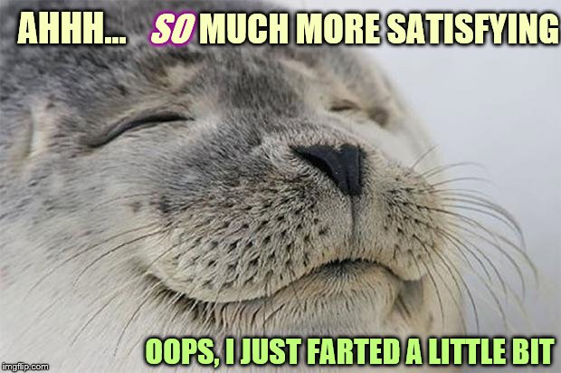 Satisfied Seal Meme | AHHH… SO MUCH MORE SATISFYING OOPS, I JUST FARTED A LITTLE BIT | image tagged in memes,satisfied seal | made w/ Imgflip meme maker