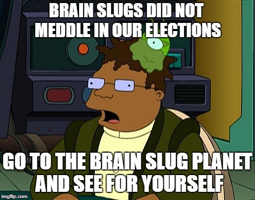 Futurama Brain Slug | BRAIN SLUGS DID NOT MEDDLE IN OUR ELECTIONS; GO TO THE BRAIN SLUG PLANET AND SEE FOR YOURSELF | image tagged in futurama brain slug,AdviceAnimals | made w/ Imgflip meme maker
