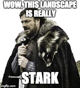 ned stark | WOW, THIS LANDSCAPE IS REALLY; STARK | image tagged in ned stark | made w/ Imgflip meme maker