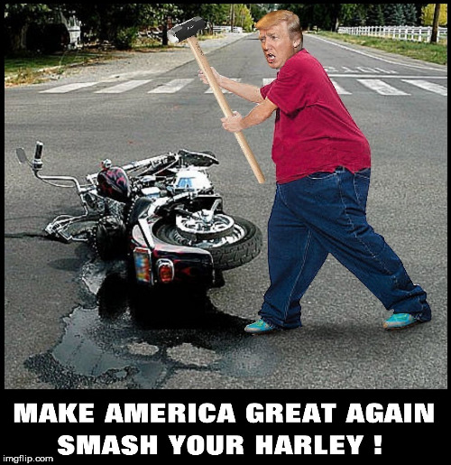 image tagged in harley davidson,harley,trump,smash,motorcycle,motorcycles | made w/ Imgflip meme maker