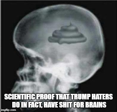 Shit for brains | SCIENTIFIC PROOF THAT TRUMP HATERS DO IN FACT, HAVE SHIT FOR BRAINS | image tagged in shit for brains | made w/ Imgflip meme maker