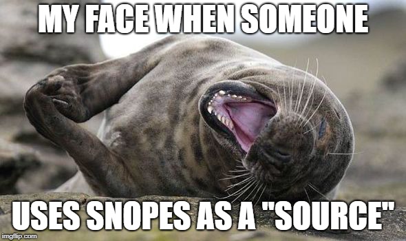 Laughing Hysterically | MY FACE WHEN SOMEONE; USES SNOPES AS A "SOURCE" | image tagged in laughing hysterically | made w/ Imgflip meme maker