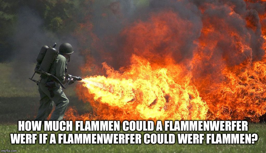 flammenwerfer | HOW MUCH FLAMMEN COULD A FLAMMENWERFER WERF IF A FLAMMENWERFER COULD WERF FLAMMEN? | image tagged in flammenwerfer | made w/ Imgflip meme maker