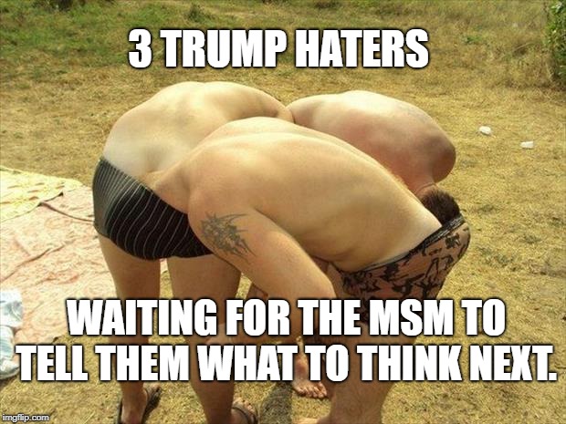 head in ass circle | 3 TRUMP HATERS; WAITING FOR THE MSM TO TELL THEM WHAT TO THINK NEXT. | image tagged in head in ass circle | made w/ Imgflip meme maker