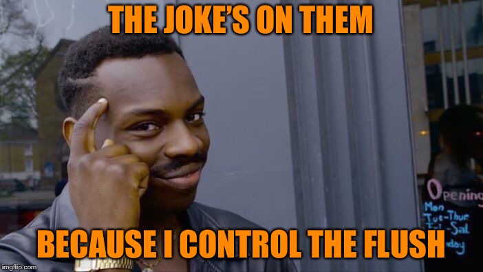 Roll Safe Think About It Meme | THE JOKE’S ON THEM BECAUSE I CONTROL THE FLUSH | image tagged in memes,roll safe think about it | made w/ Imgflip meme maker