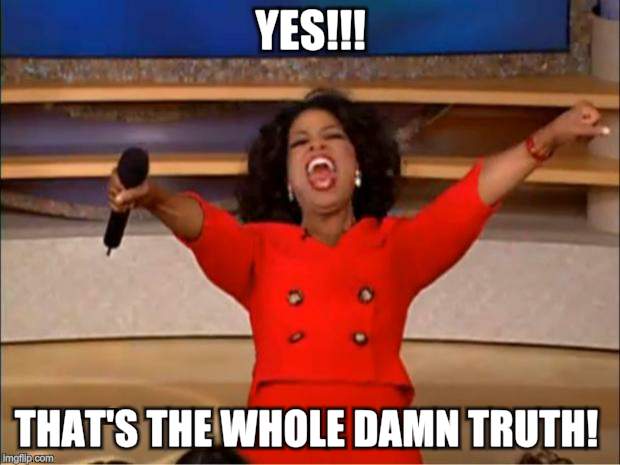 Oprah You Get A Meme | YES!!! THAT'S THE WHOLE DAMN TRUTH! | image tagged in memes,oprah you get a | made w/ Imgflip meme maker