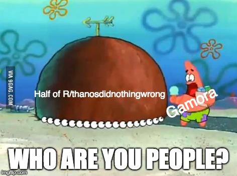 Who Are You People Patrick | Half of R/thanosdidnothingwrong; Gamora; WHO ARE YOU PEOPLE? | image tagged in who are you people patrick | made w/ Imgflip meme maker