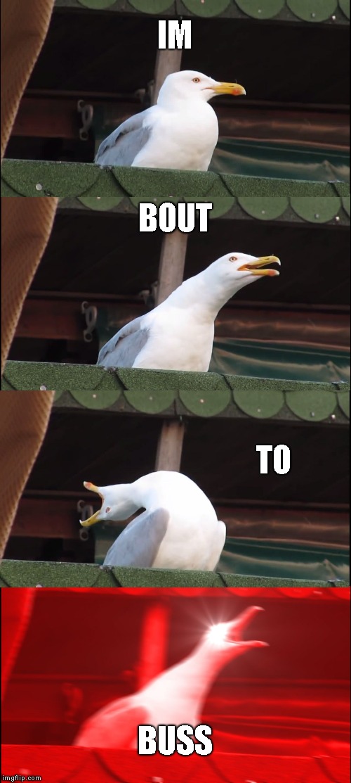 Inhaling Seagull Meme | IM; BOUT; TO; BUSS | image tagged in memes,inhaling seagull | made w/ Imgflip meme maker