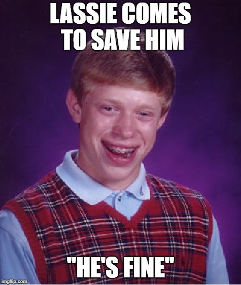 Bad Luck Brian Meme | LASSIE COMES TO SAVE HIM "HE'S FINE" | image tagged in memes,bad luck brian | made w/ Imgflip meme maker