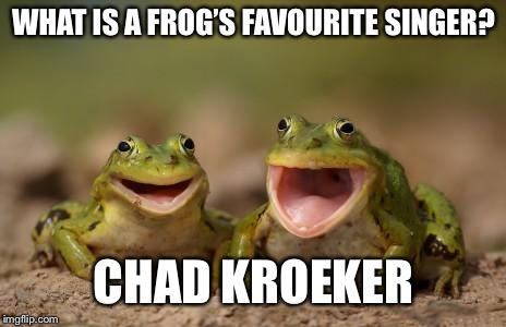 two happy frogs  | WHAT IS A FROG’S FAVOURITE SINGER? CHAD KROEKER | image tagged in two happy frogs | made w/ Imgflip meme maker