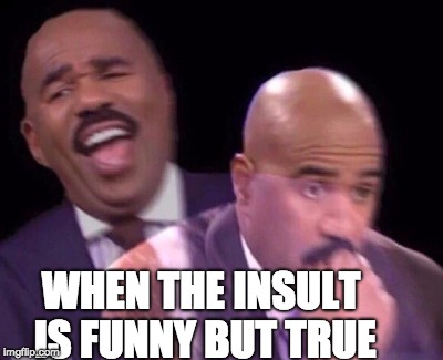 Steve Harvey Laughing Serious | WHEN THE INSULT IS FUNNY BUT TRUE | image tagged in steve harvey laughing serious | made w/ Imgflip meme maker
