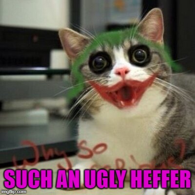 SUCH AN UGLY HEFFER | made w/ Imgflip meme maker