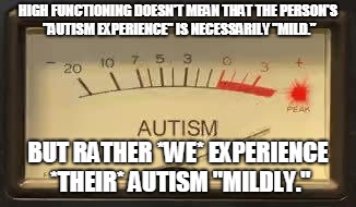 Beyond Autism | HIGH FUNCTIONING DOESN'T MEAN THAT THE PERSON'S "AUTISM EXPERIENCE" IS NECESSARILY "MILD."; BUT RATHER *WE* EXPERIENCE *THEIR* AUTISM "MILDLY." | image tagged in beyond autism | made w/ Imgflip meme maker