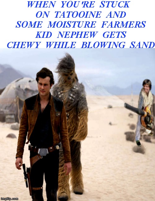 Double meanings are cool... | WHEN YOU'RE STUCK ON TATOOINE AND SOME MOISTURE FARMERS KID NEPHEW GETS CHEWY WHILE BLOWING SAND | image tagged in blowing sand,good luck luke,han solo new star wars movie,disturbance in the force | made w/ Imgflip meme maker