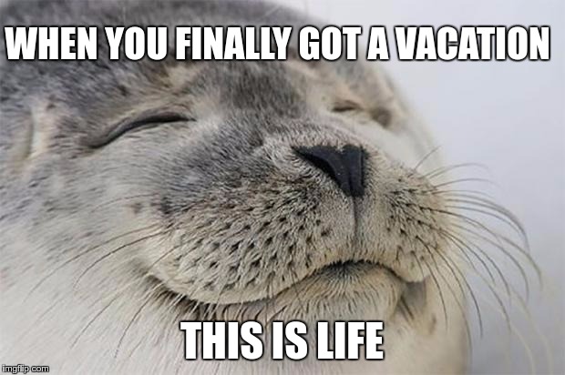 Satisfied Seal Meme | WHEN YOU FINALLY GOT A VACATION; THIS IS LIFE | image tagged in memes,satisfied seal | made w/ Imgflip meme maker