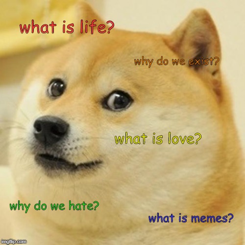 Doge Meme | what is life? why do we exist? what is love? why do we hate? what is memes? | image tagged in memes,doge | made w/ Imgflip meme maker