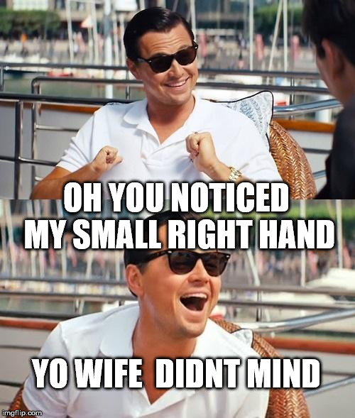 Leonardo DiCaprio | OH YOU NOTICED MY SMALL RIGHT HAND; YO WIFE  DIDNT MIND | image tagged in memes,leonardo dicaprio wolf of wall street | made w/ Imgflip meme maker