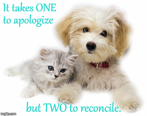 Kiss & Make Up? | It takes ONE; to apologize; but TWO to reconcile. | image tagged in apologize,reconcile,cat  dog | made w/ Imgflip meme maker