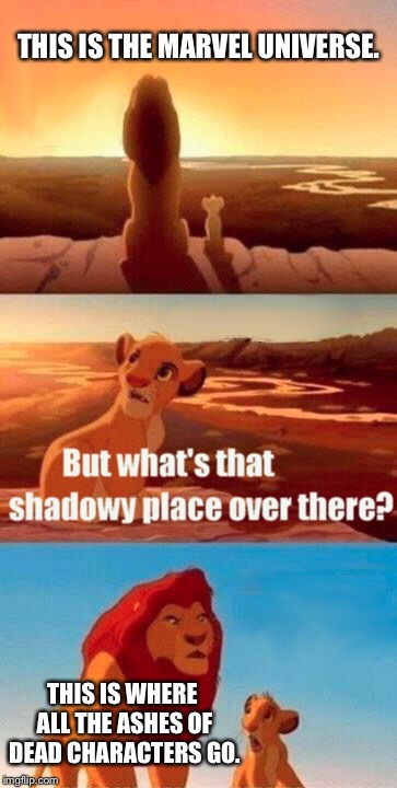 When you introduce someone into the marvel movies | THIS IS THE MARVEL UNIVERSE. THIS IS WHERE ALL THE ASHES OF DEAD CHARACTERS GO. | image tagged in memes,simba shadowy place,marvel cinematic universe,dead,characters,marvel | made w/ Imgflip meme maker