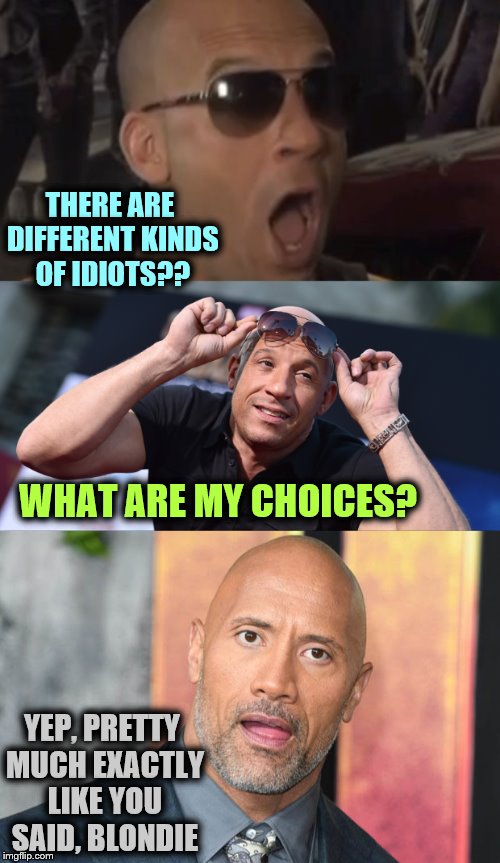 THERE ARE DIFFERENT KINDS OF IDIOTS?? YEP, PRETTY MUCH EXACTLY LIKE YOU SAID, BLONDIE WHAT ARE MY CHOICES? | made w/ Imgflip meme maker