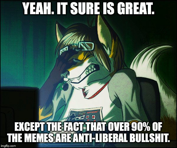 YEAH. IT SURE IS GREAT. EXCEPT THE FACT THAT OVER 90% OF THE MEMES ARE ANTI-LIBERAL BULLSHIT. | made w/ Imgflip meme maker