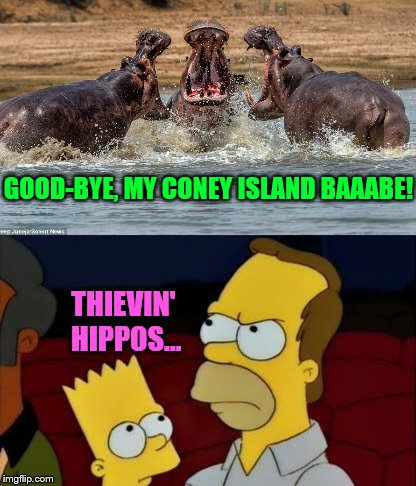 To get this, you gotta Be Sharp |  GOOD-BYE, MY CONEY ISLAND BAAABE! THIEVIN' HIPPOS... | image tagged in hippo,the simpsons,funny,phunny,barbershop trio,memes | made w/ Imgflip meme maker