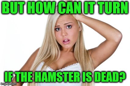 Dumb Blonde | BUT HOW CAN IT TURN IF THE HAMSTER IS DEAD? | image tagged in dumb blonde | made w/ Imgflip meme maker