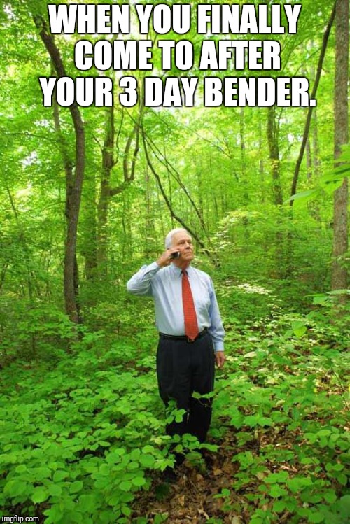 3 Day Benders | WHEN YOU FINALLY COME TO AFTER YOUR 3 DAY BENDER. | image tagged in lost in the woods,memes,lost,send help,im in danger,lol | made w/ Imgflip meme maker